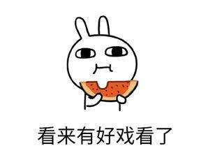 专注于吃瓜,揭秘娱乐圈那些吃瓜群众的狂欢盛宴