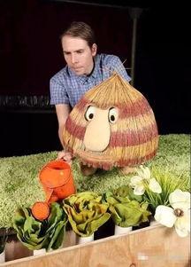 瓜哥吃瓜过生日是真的吗,揭秘网络红人的真实生日庆祝