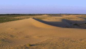 大沙漠吃瓜,一场独特的沙漠食旅体验