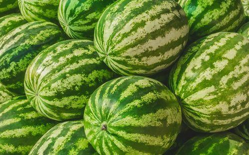 哪里可以看吃瓜